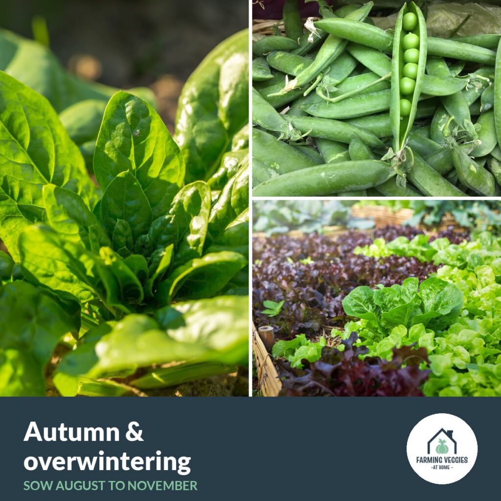 Autumn and overwintering bag