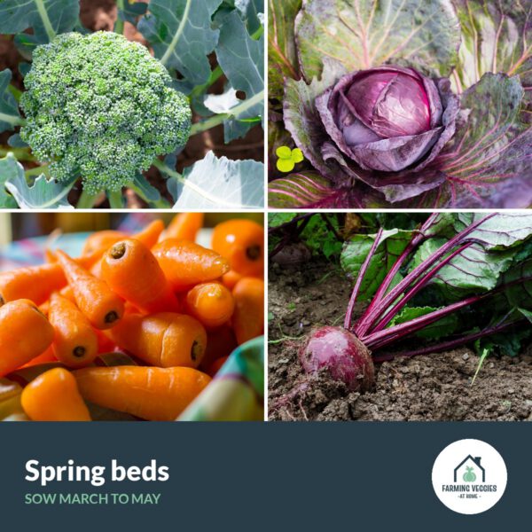 Spring beds bag