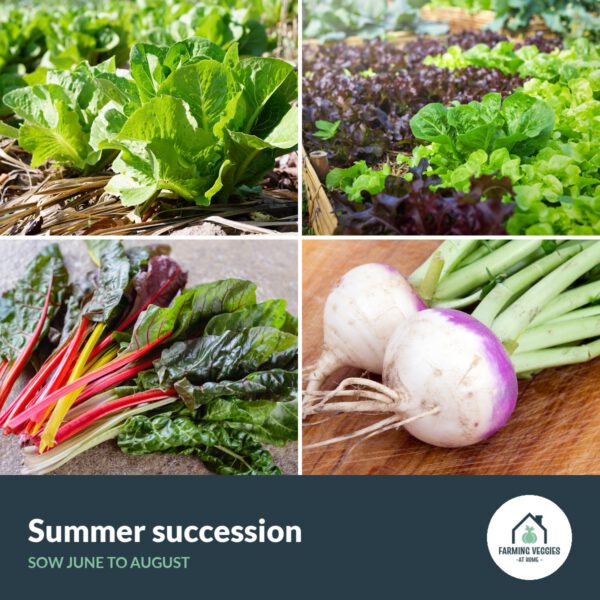 Summer succession bag