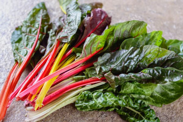 Chard Green Broad