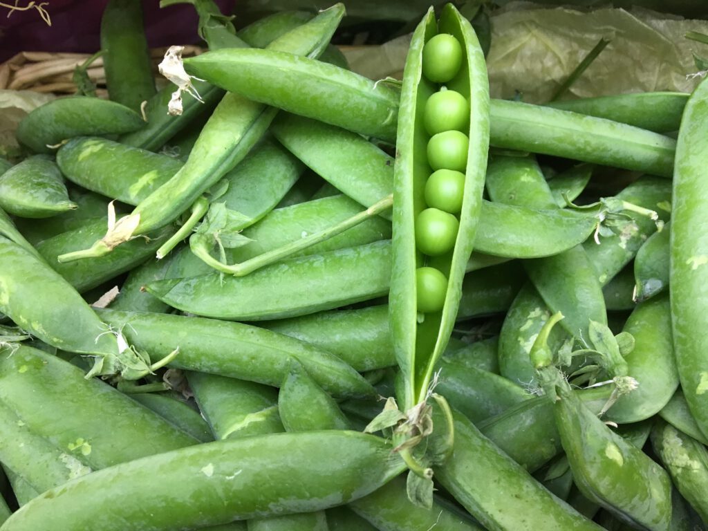 Green Peas Petit
