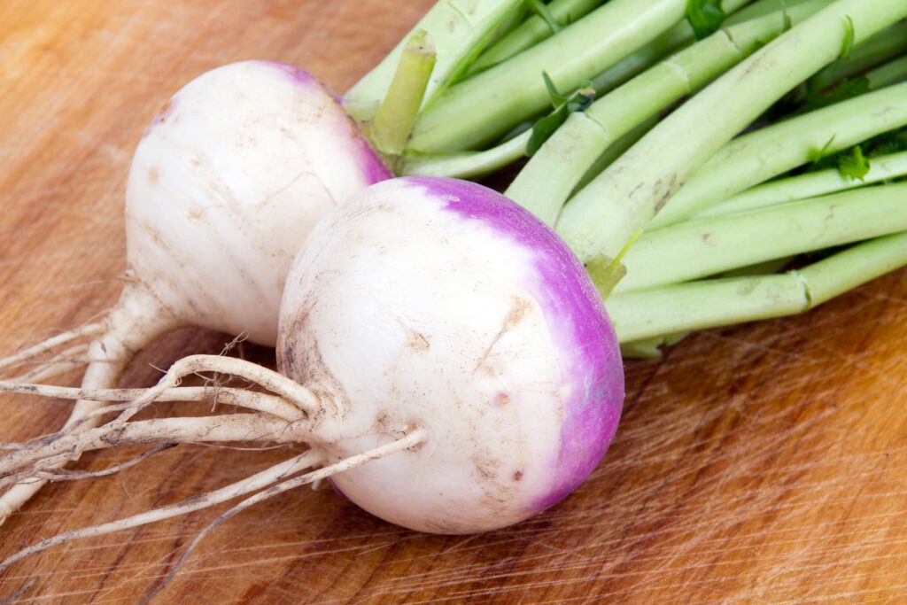 Turnip Purple Top